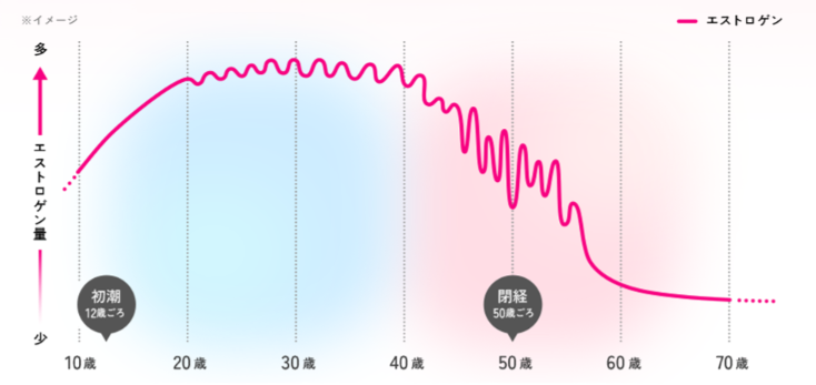 エストロゲン量のグラフ