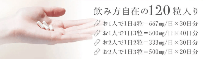 プレミアムNMN20000は120粒入りの画像