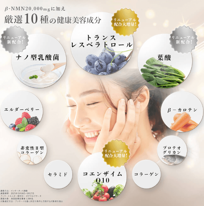 NMN以外に配合されている10種類の栄養素の画像