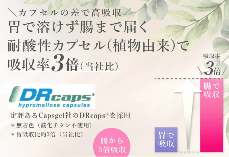 胃で溶けにくいカプセルで吸収率をアップの画像