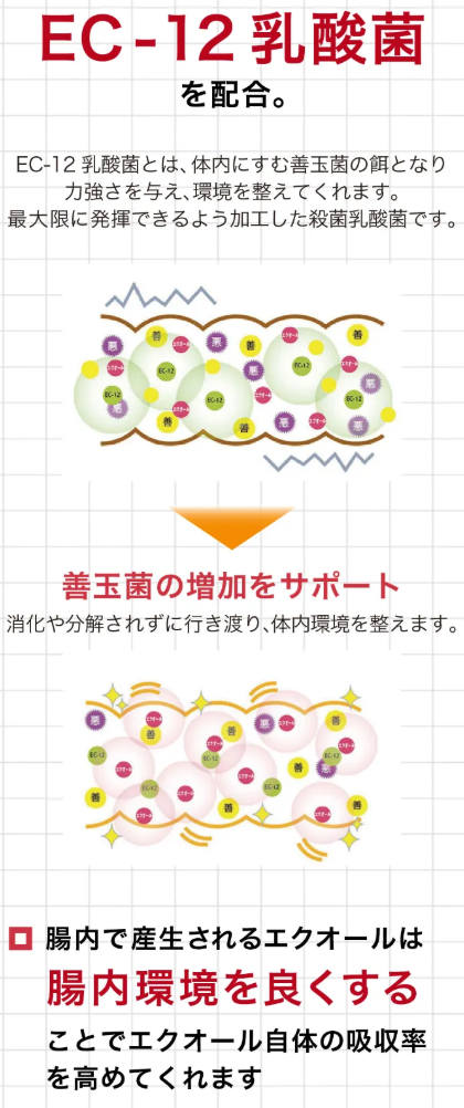 キレイ・デ・エクオールの乳酸菌の働きかけの解説画像