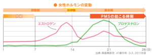 女性ホルモンの変動の補足画像