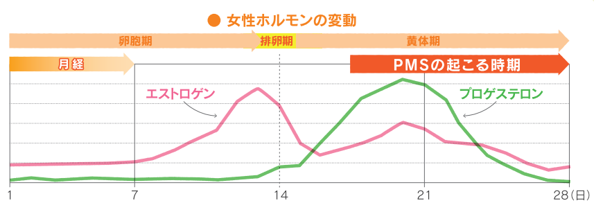 女性ホルモンの変動を表すグラフの画像