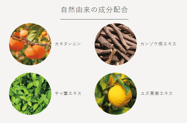 セルノート成分画像